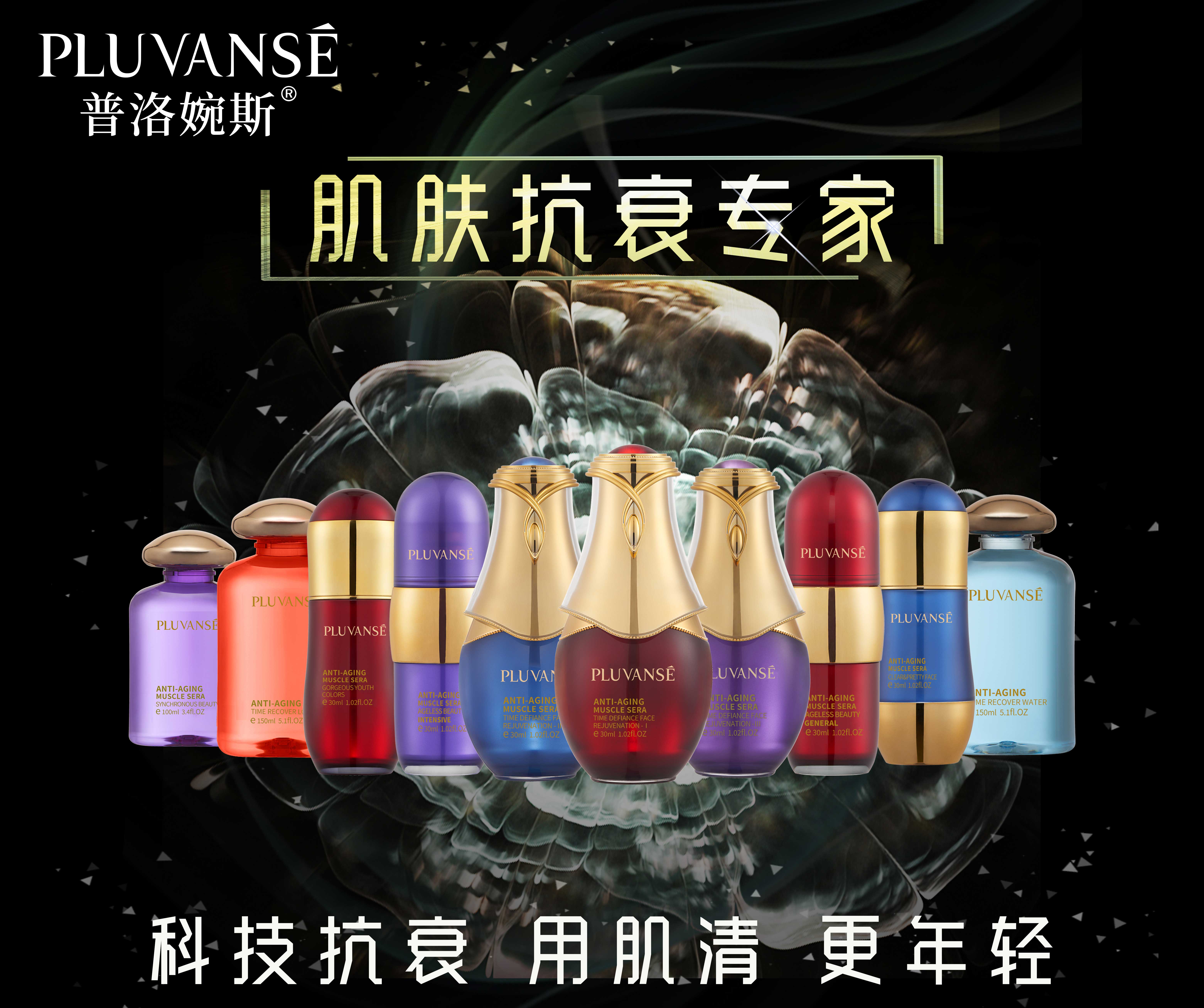 公司介绍